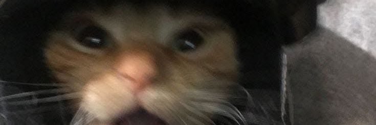 setemarte's profile banner image