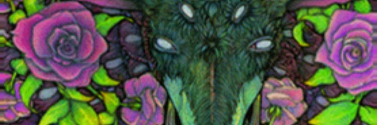 WonderRey's profile banner image