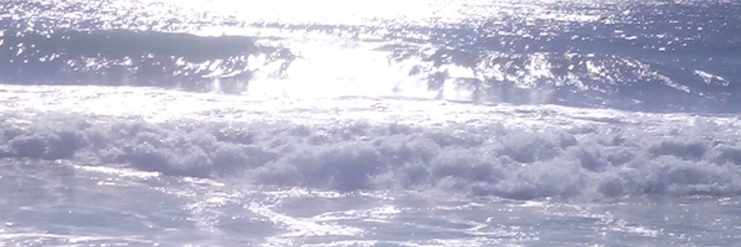 Noeliamm3's profile banner image