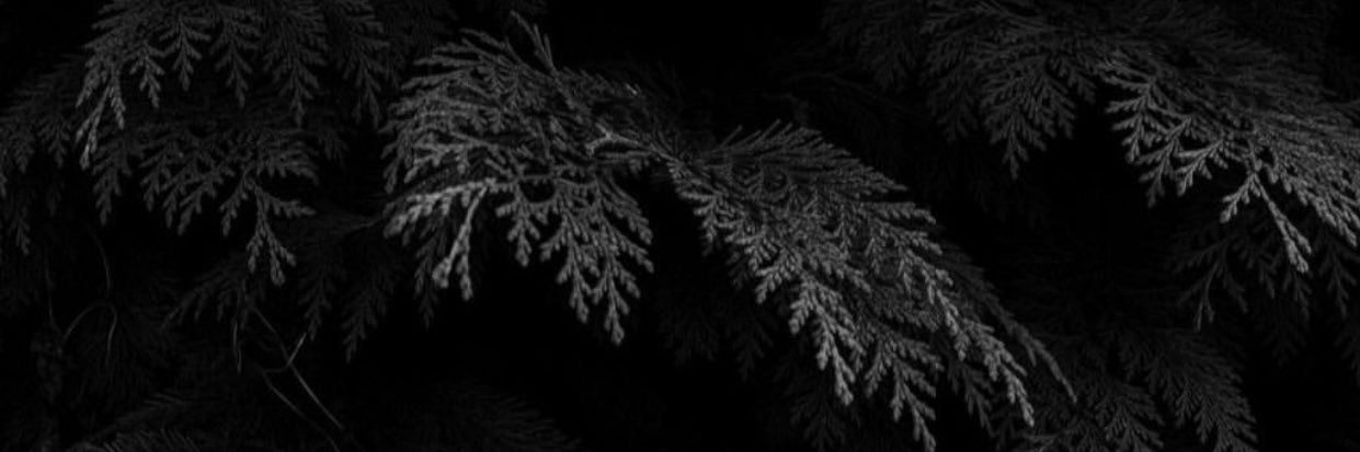 DKayacaa's profile banner image