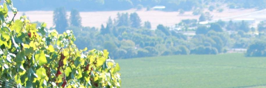 Onward Wines banner