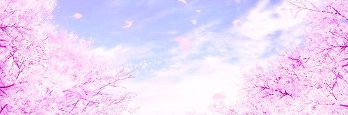InugamiWarrior's profile banner image