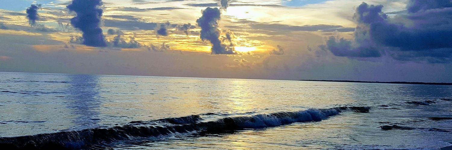 Gasparillagirl banner