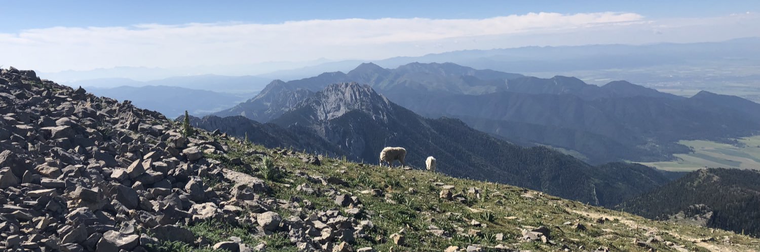 OldTigerSix's profile banner image
