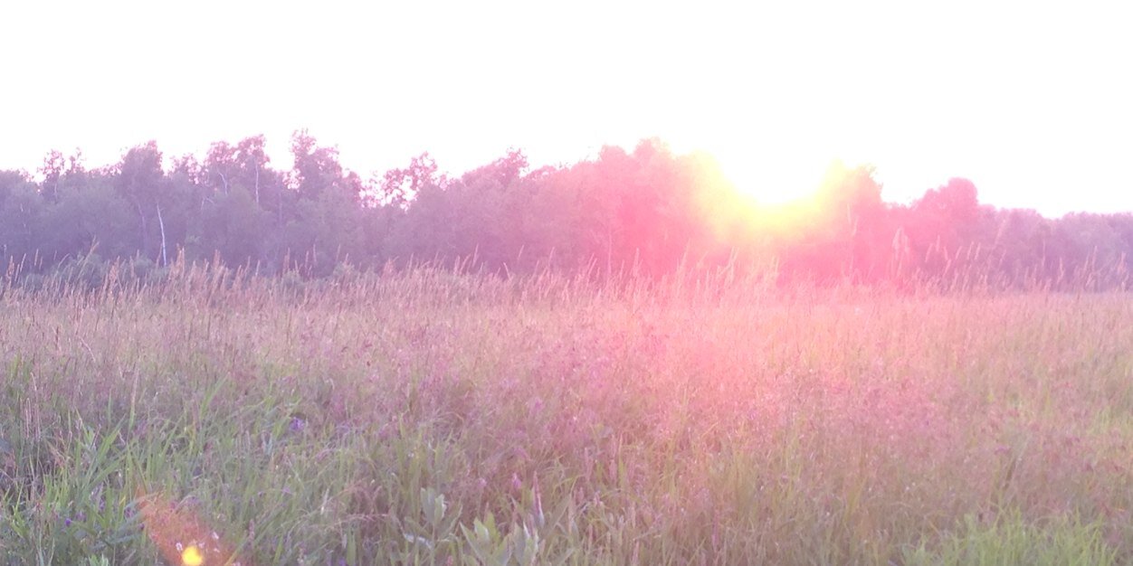 Chris_Primeau's profile banner image