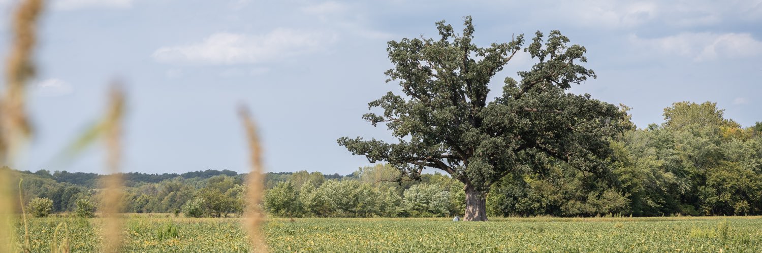 PlaugherPhoto's profile banner image
