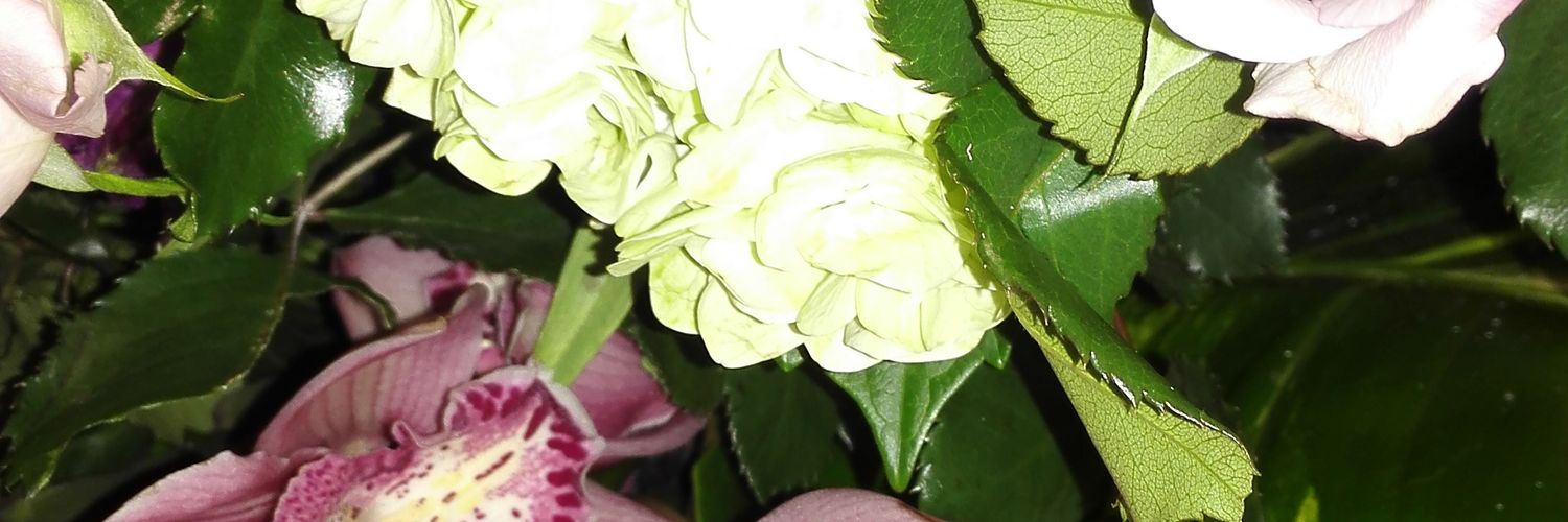 MissjCastro's profile banner image