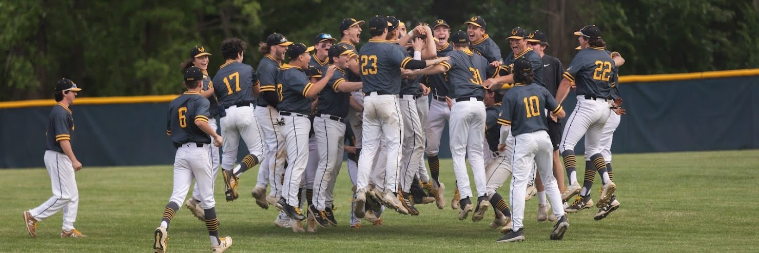 CB West Baseball banner