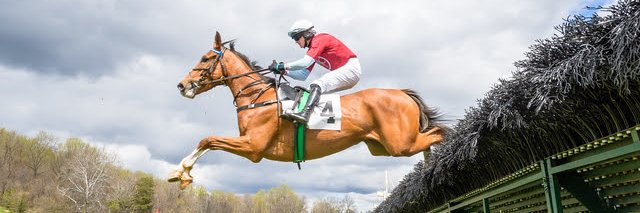 Zenyatta John banner