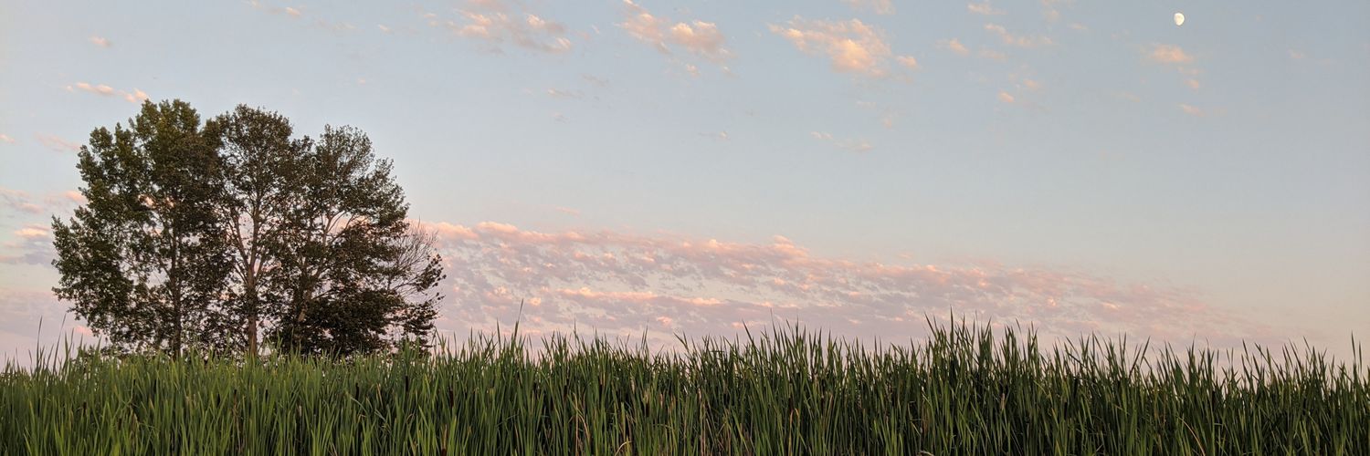 AlinasSoul's profile banner image