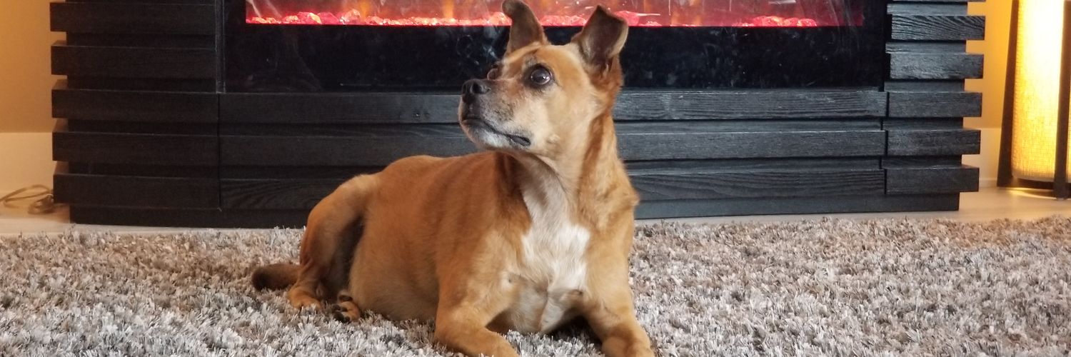vinnievan's profile banner image