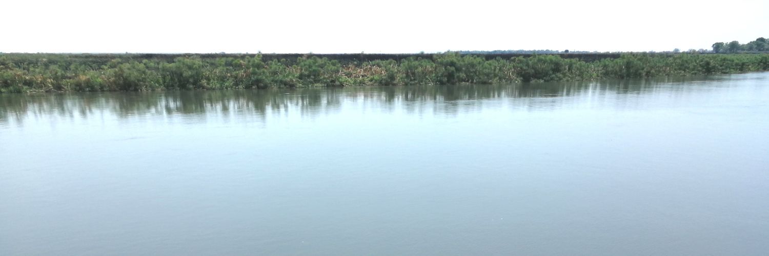 SuweMotso's profile banner image