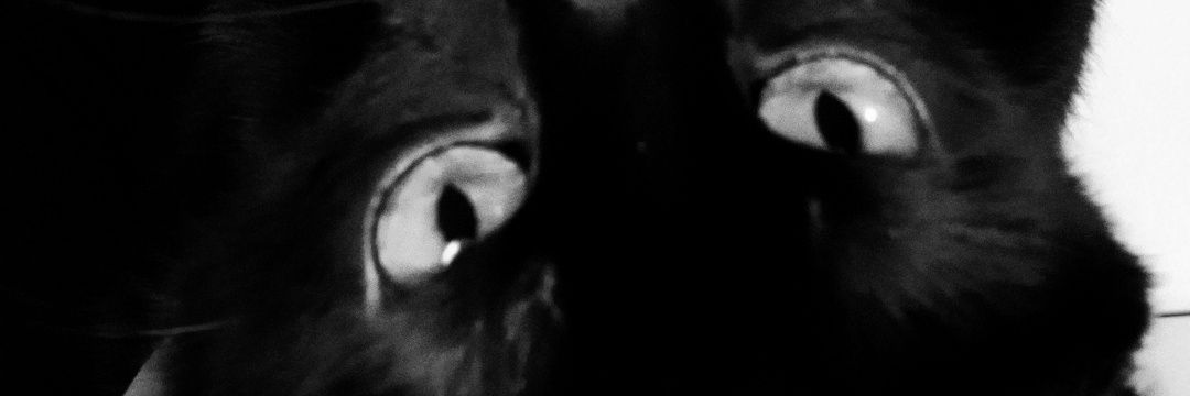Nate 🏳️‍⚧️ banner