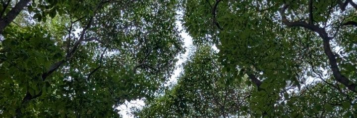 imma do the best i can w. what i got banner