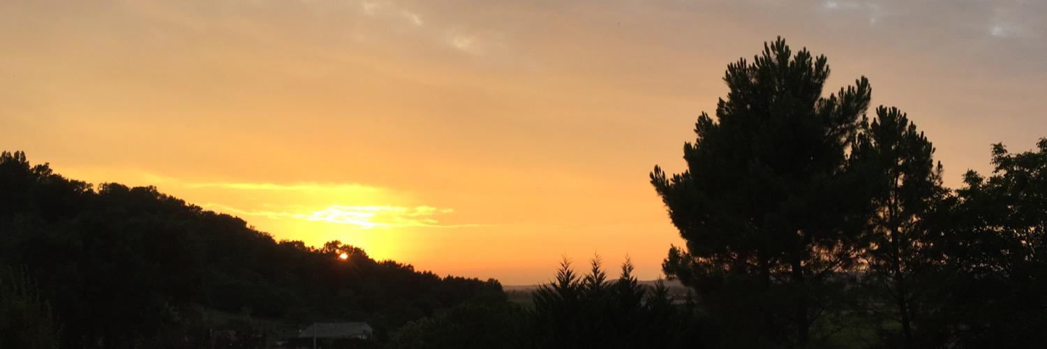 therealmrsbear's profile banner image