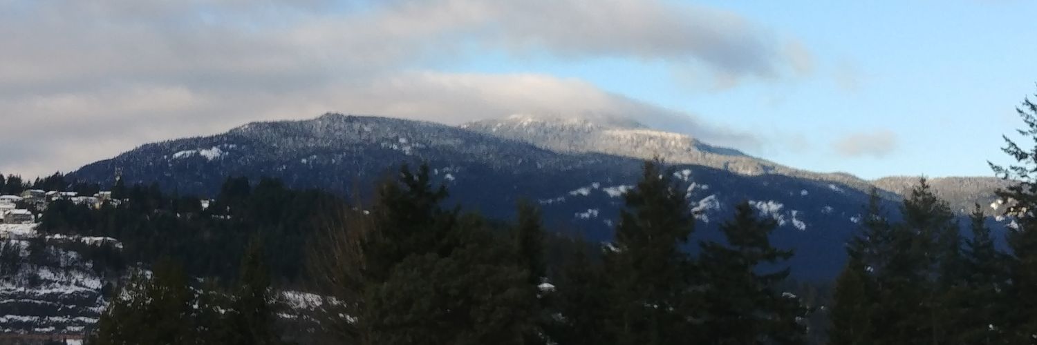 amandaleee78's profile banner image