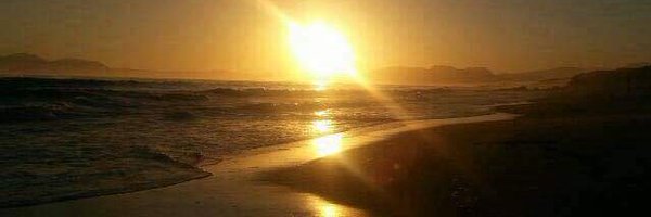 thandy24 Profile Banner