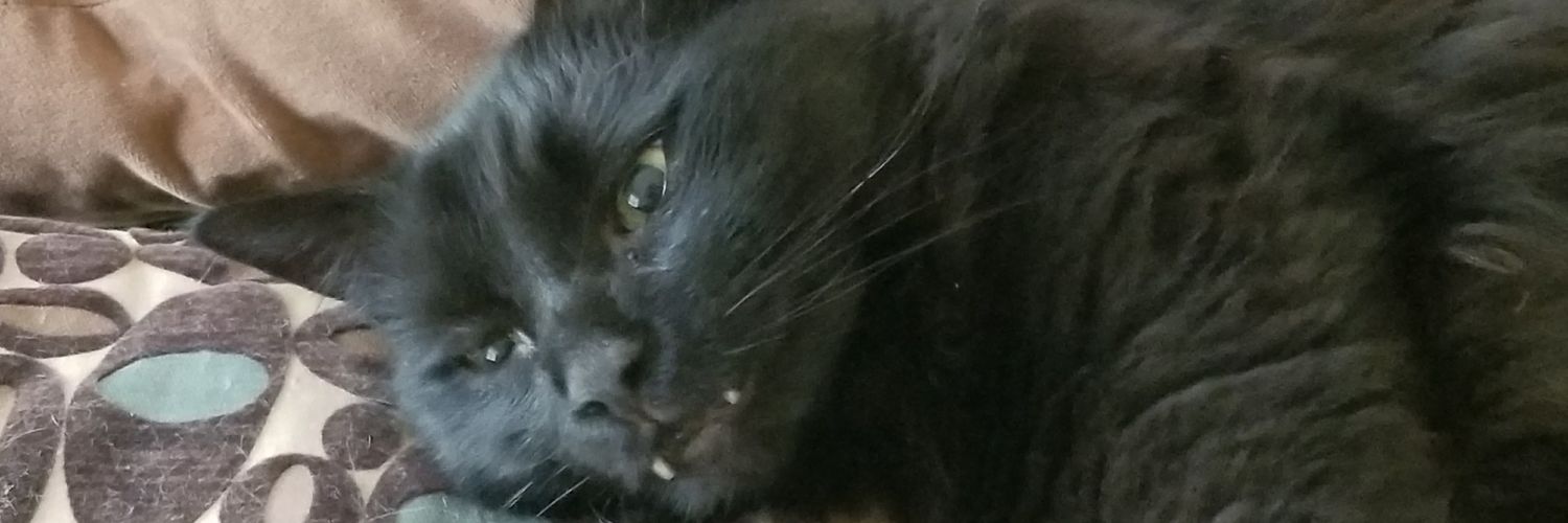 S_Harris15's profile banner image