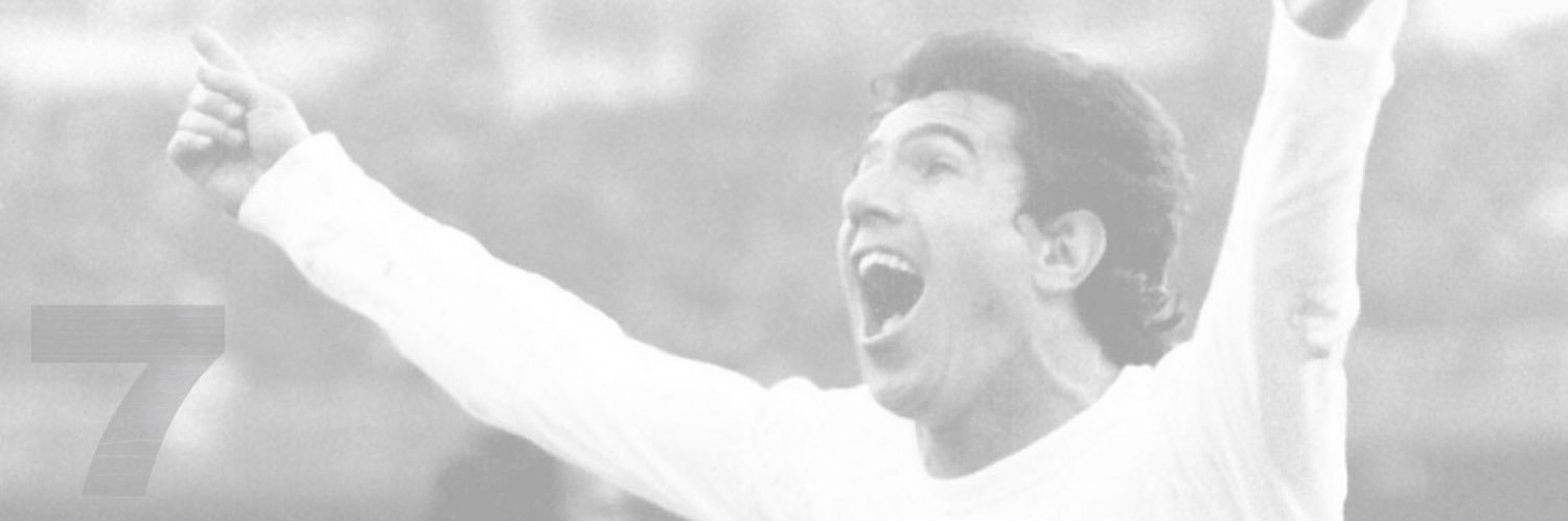 Fundación Juanito Maravilla banner