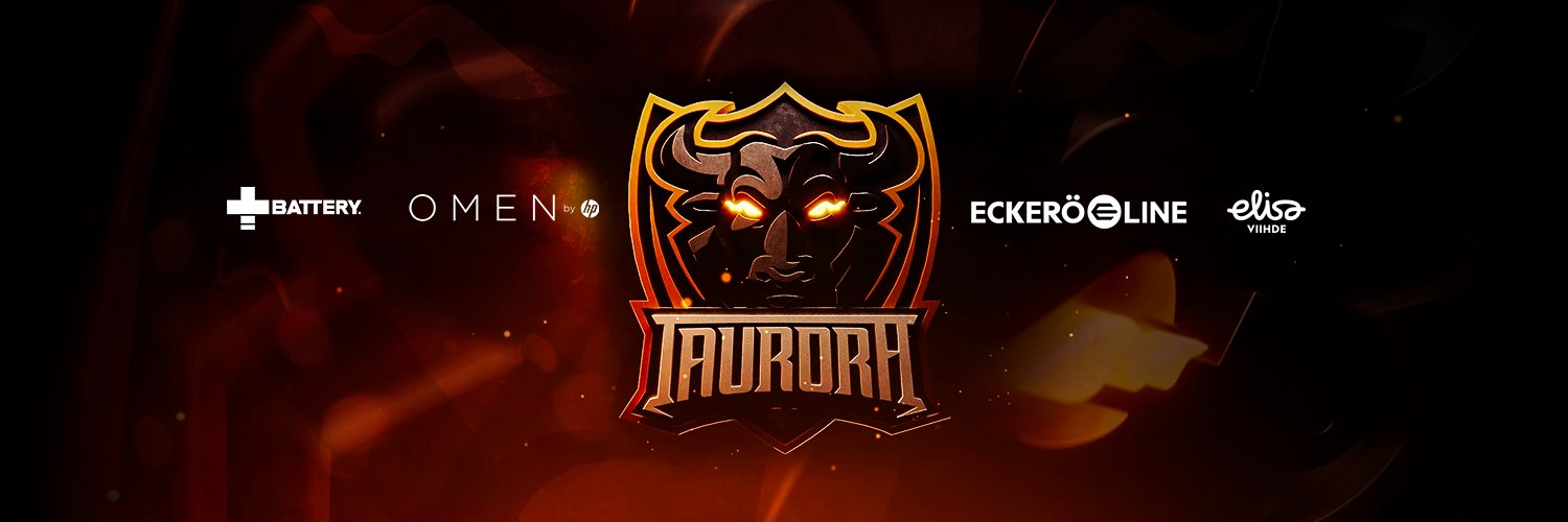 TauroraNET's profile banner image