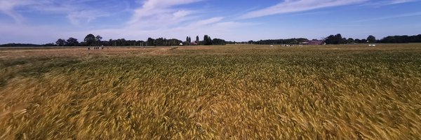 110Bourgogne Profile Banner