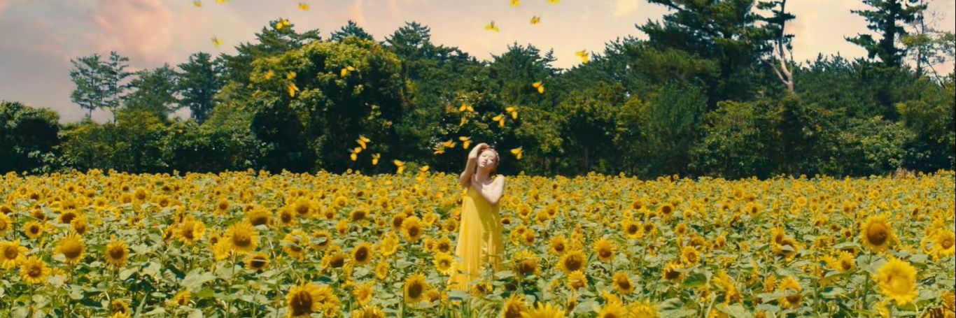 candyojung's profile banner image