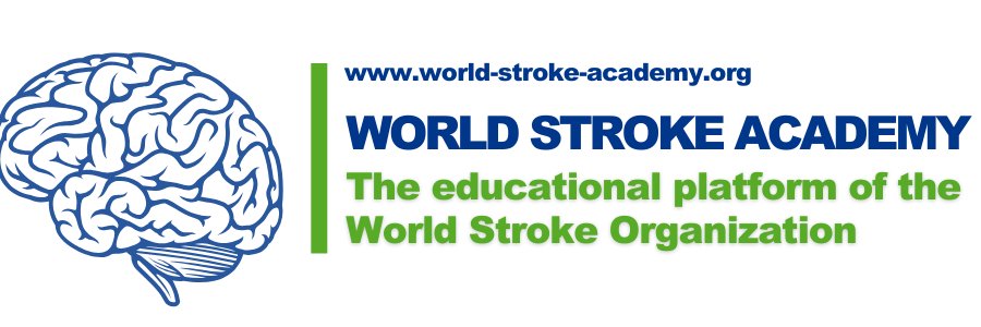 World Stroke Academy's banner