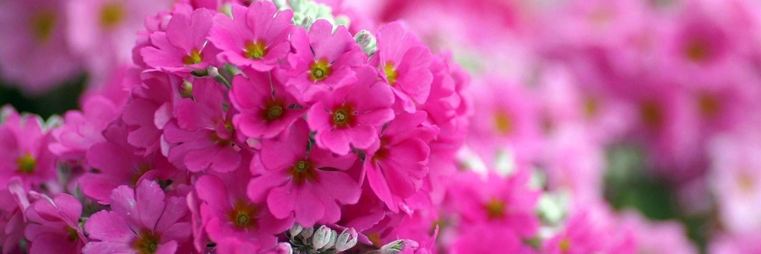 brandydowney87's profile banner image