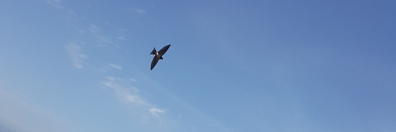 aiginatt's profile banner image