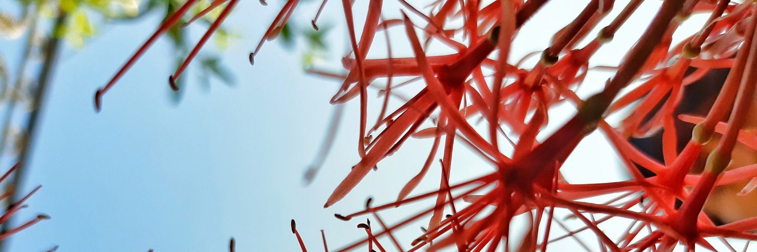 nsergio75's profile banner image