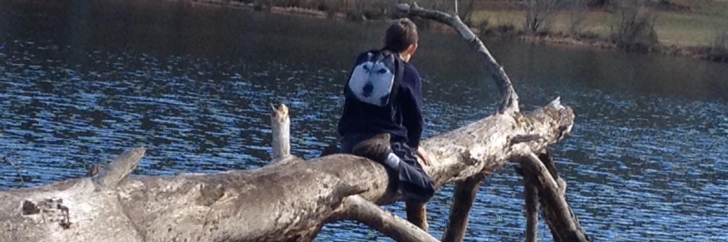 PFHMike's profile banner image