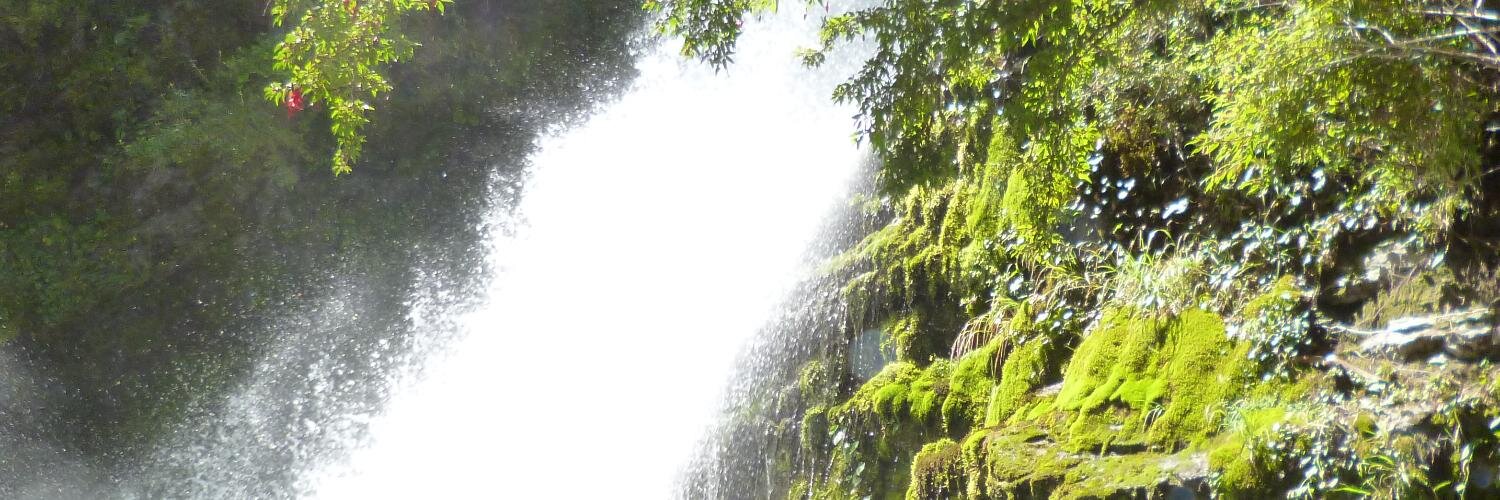 Alice in wonderland banner