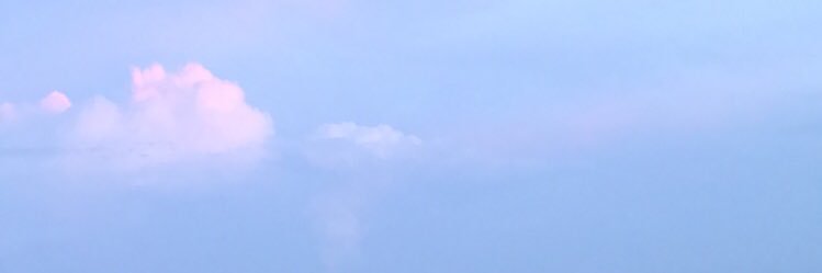 whosyourmaddi's profile banner image