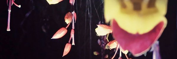 JMDemus Profile Banner