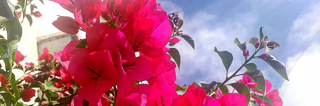 zairitha_g's profile banner image