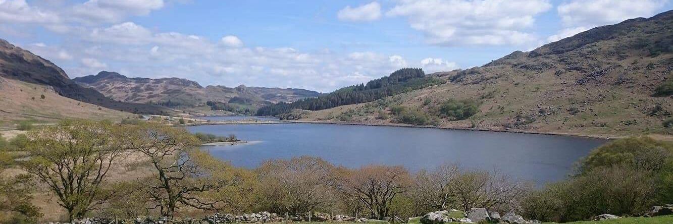 Hannah Furness banner