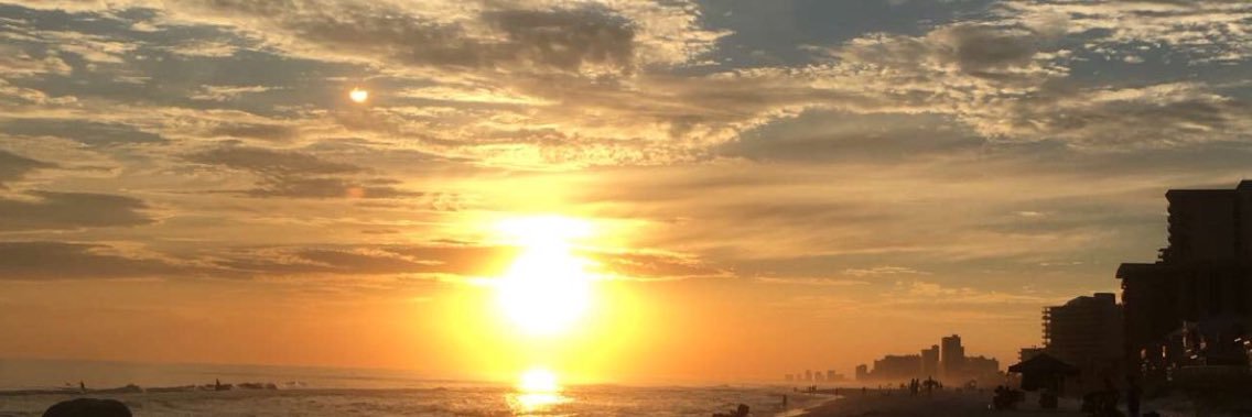 laurendickson16's profile banner image