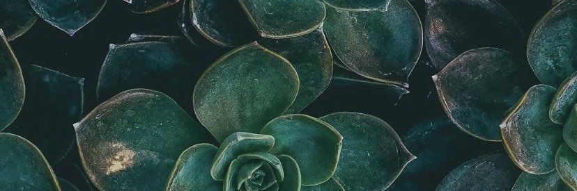 likeabambi's profile banner image