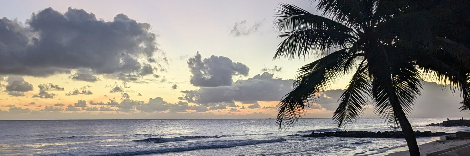 Dza 🇧🇧🇳🇬🇯🇲 banner