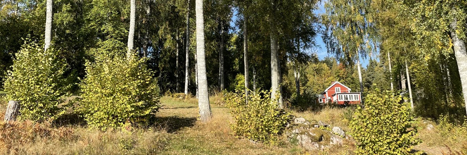 idahennerdal's profile banner image