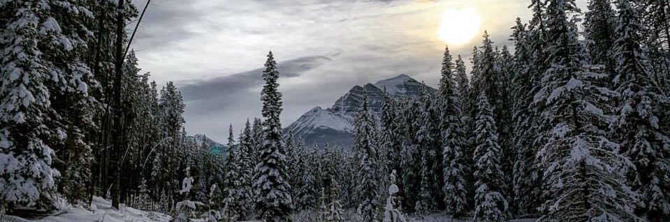 Richard cockerline banner