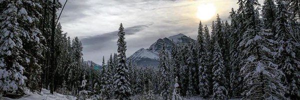 RCockerlineElec Profile Banner