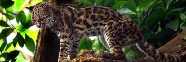 Marwan___13's profile banner image