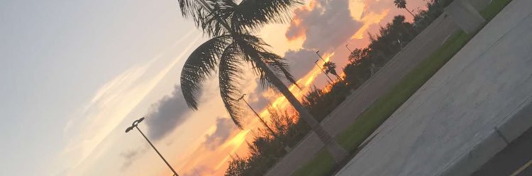 Official_Barb's profile banner image