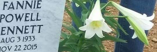 _GeeBee20's profile banner image