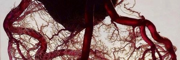 MarqPatton Profile Banner