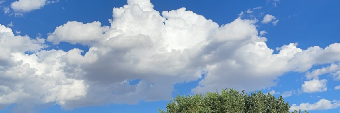 breeeleee_'s profile banner image