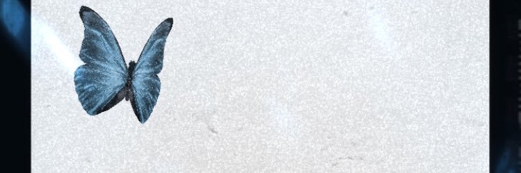 DiFernandes22's profile banner image
