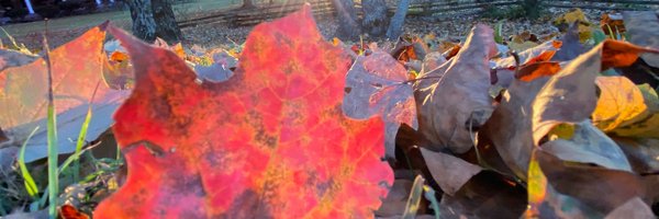 Local3Weather Profile Banner