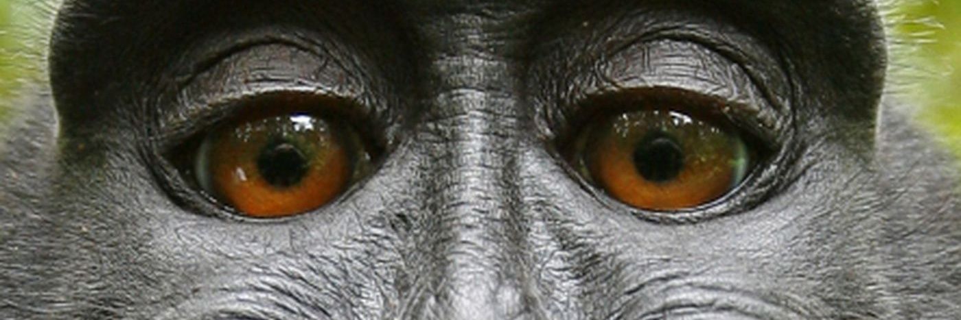 robwebster20's profile banner image